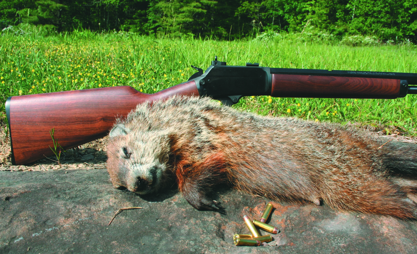 .32 H&R Magnum